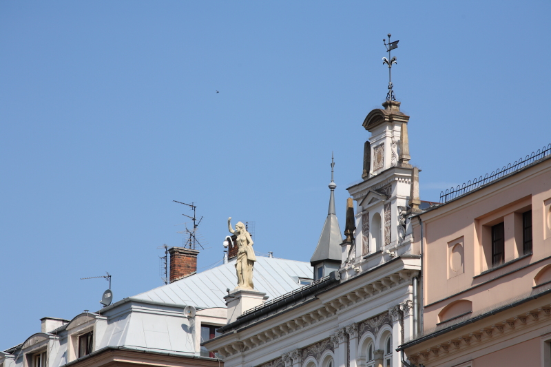 IMG_6856.JPG