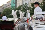IMG_6590