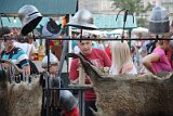 IMG_6593