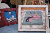 IMG_6604