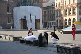 IMG_6683