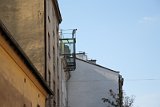 IMG_6790